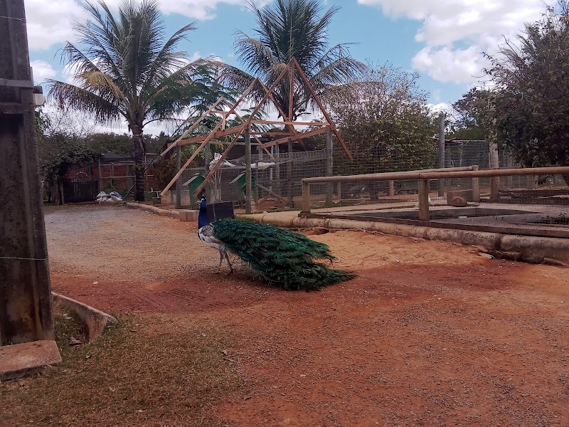 Adventure Eco Park - foto 2