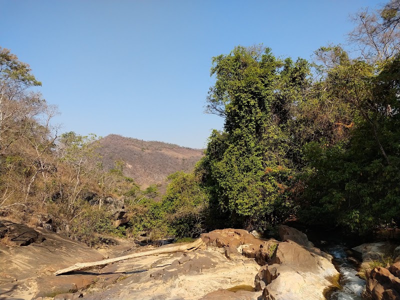 Bisnau Ecoturismo - foto 4