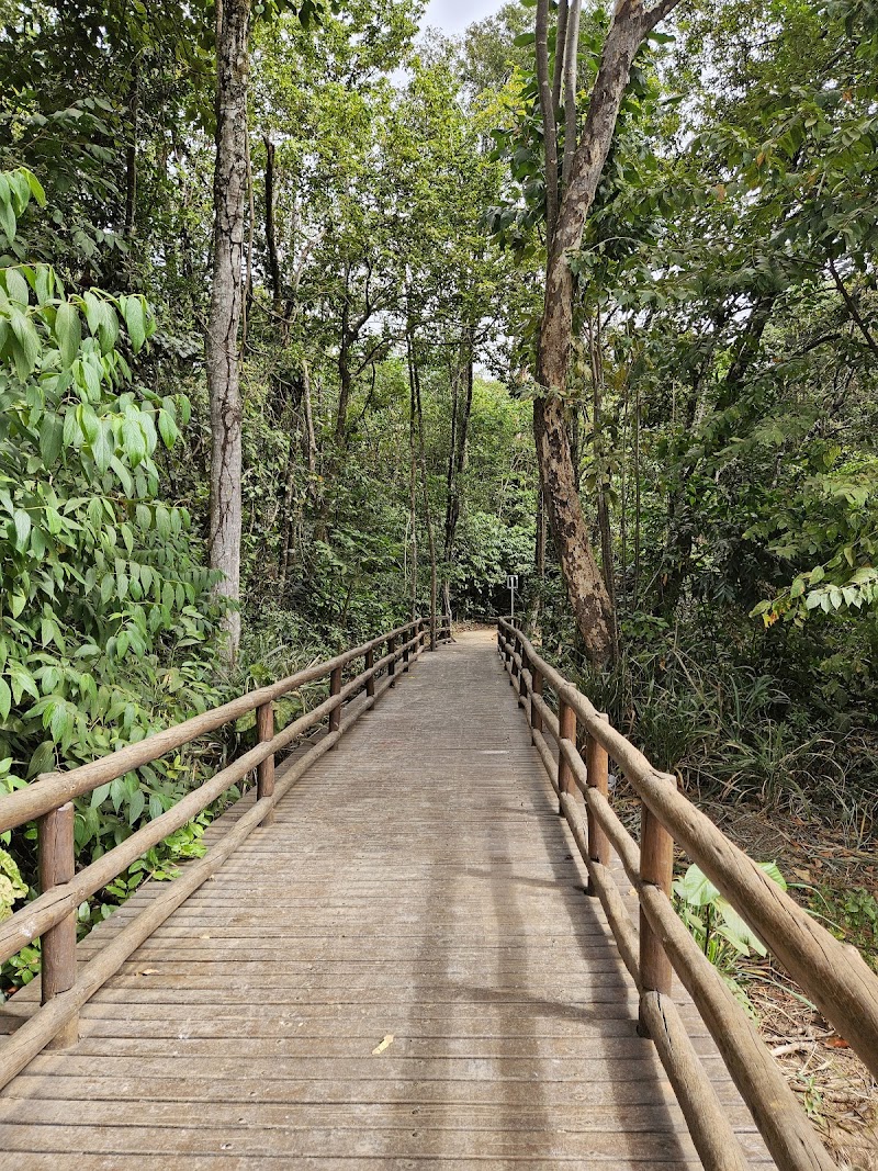 Mata da Bica (Deck Formosa) - foto 2