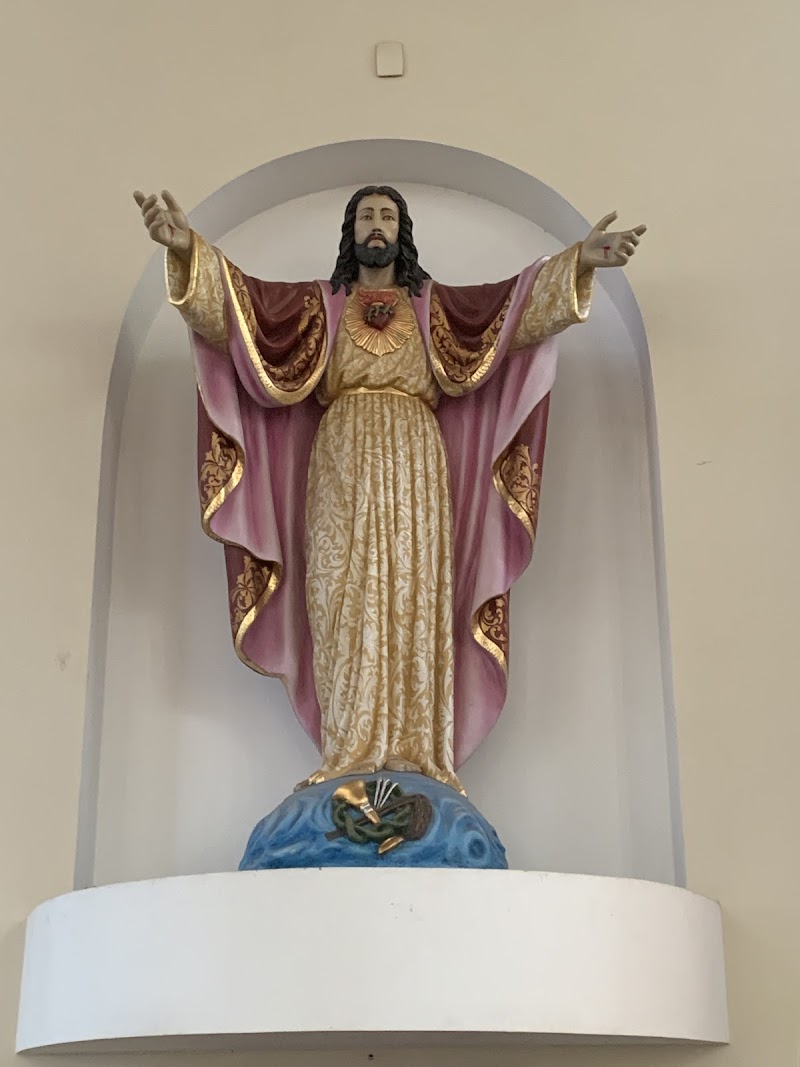 Catedral de Nossa Senhora Imaculada Conceição - foto 4