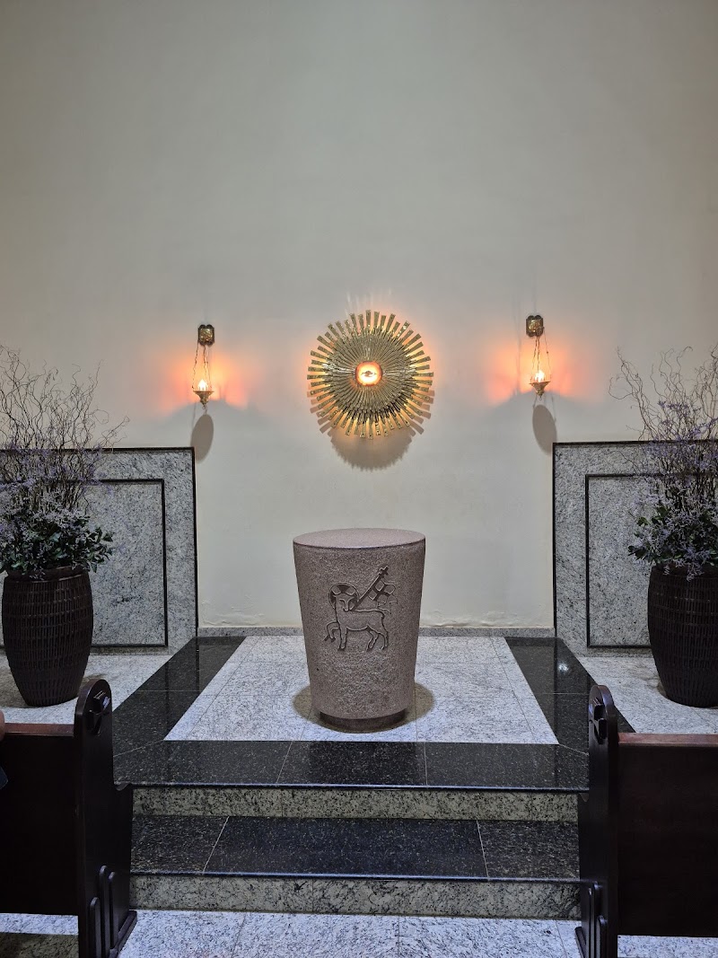 Catedral de Nossa Senhora Imaculada Conceição - foto 5