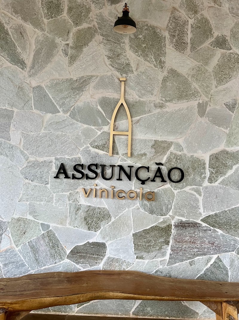 Vinícola Assunção - foto 4
