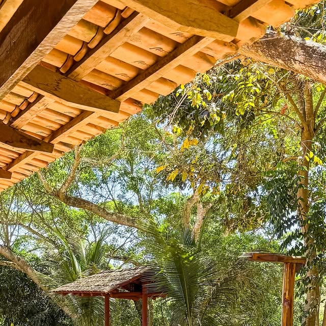 Rancho das Palmeiras - foto 4