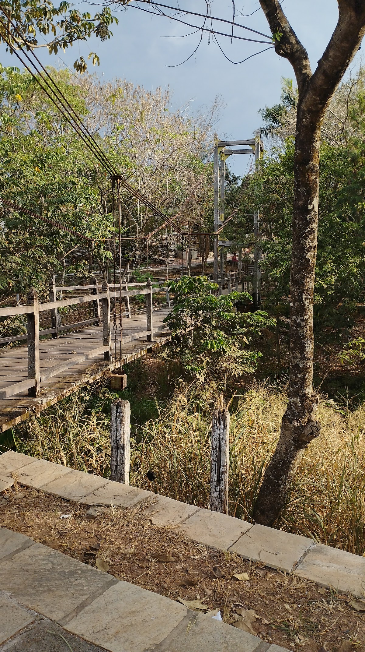 Ponte Pênsil Dona Benta - foto 4