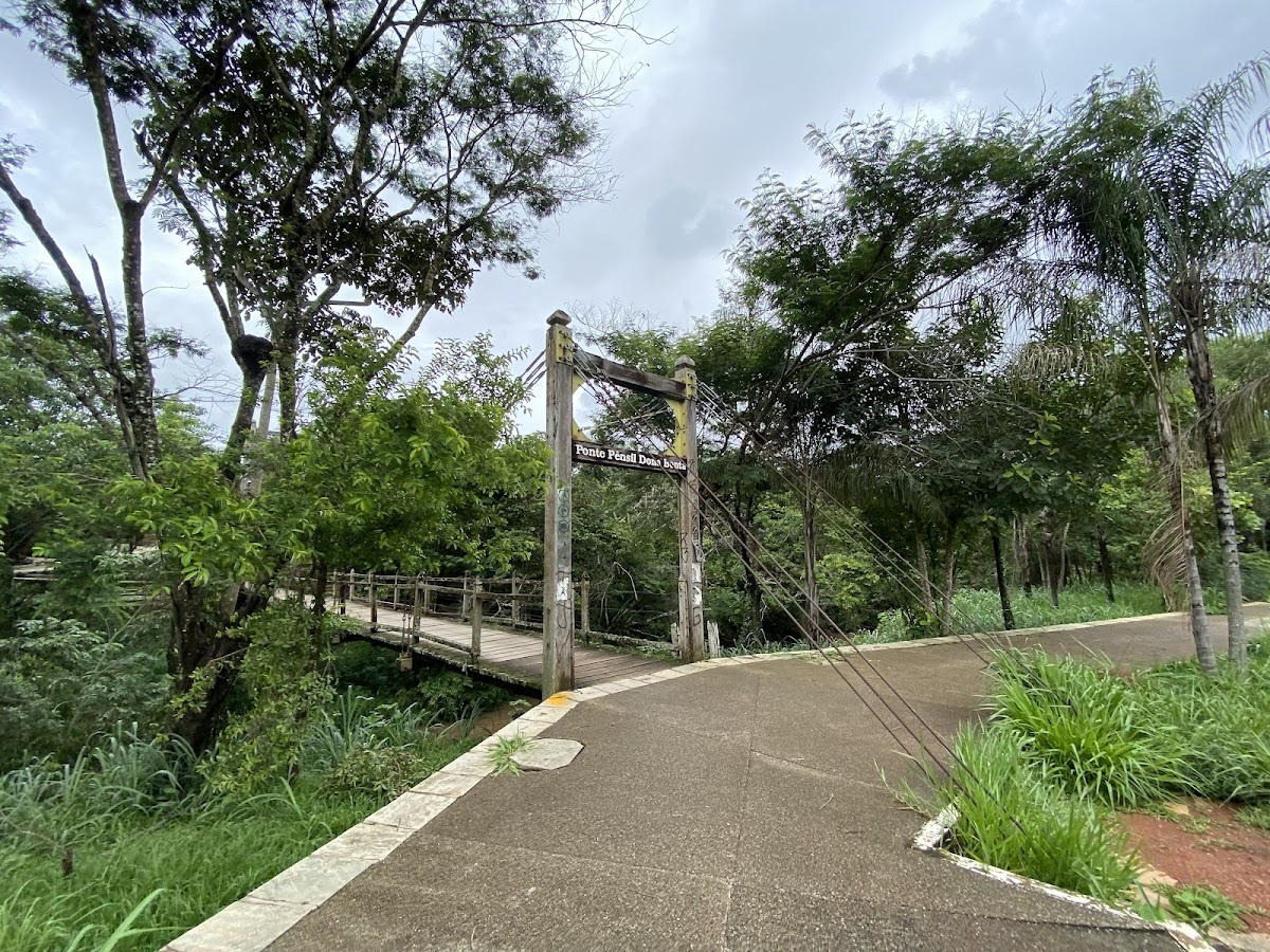 Ponte Pênsil Dona Benta - foto 5