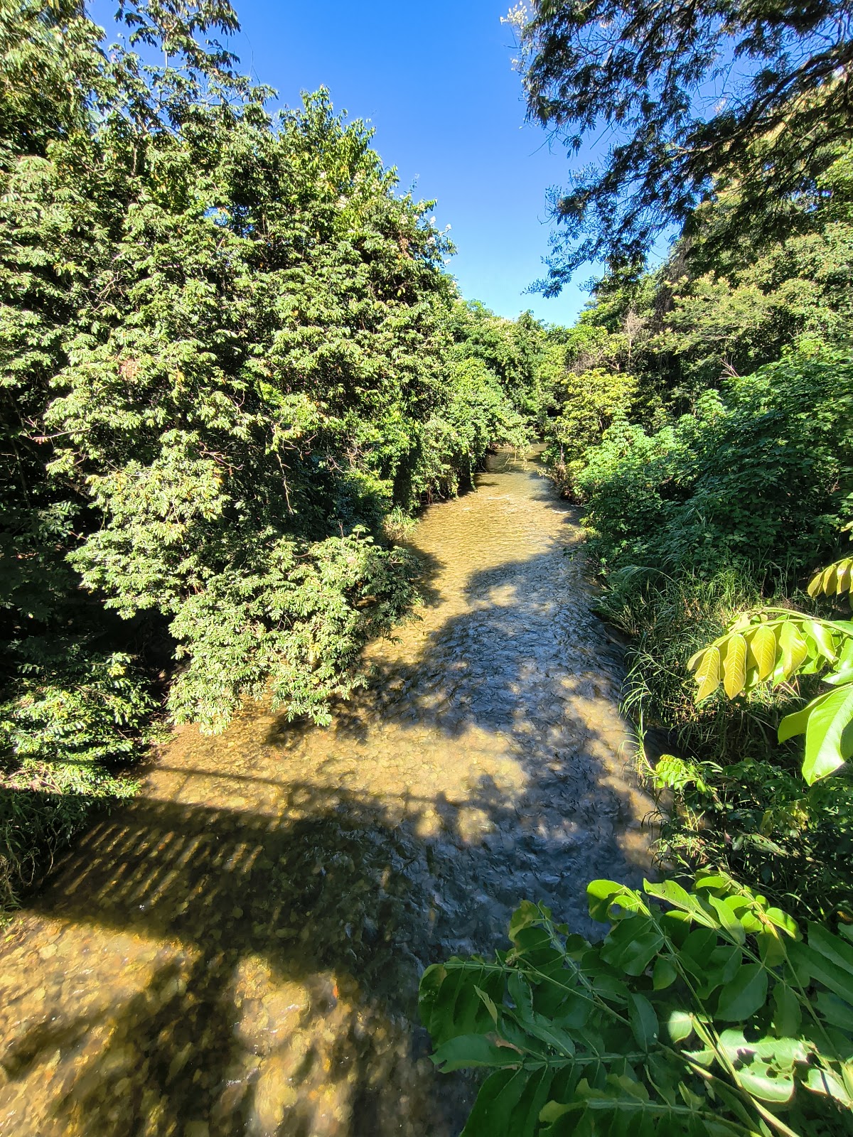 Ponte Pênsil Dona Benta - foto 2